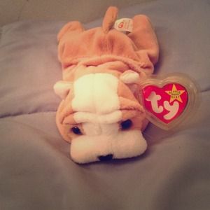 Ty Beanie Babie bulldog