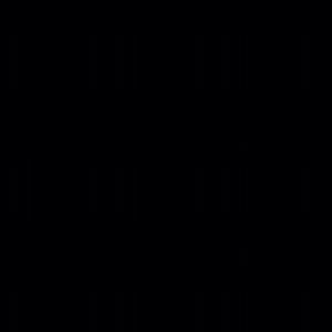 Bundle for Abby -- 2 Vince Vests