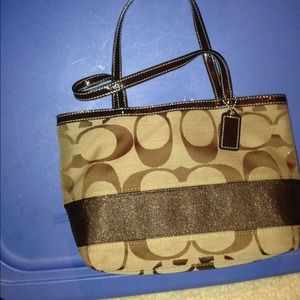 Brown Coach Purse