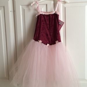 NWT ballerina costume 3yrs and up.