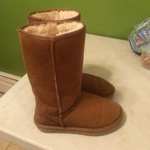 Tall Chestnut Uggs