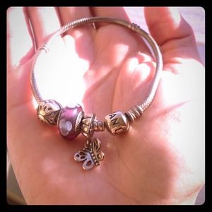 Temporary price cut! ✂️Pandora bracelet and charms