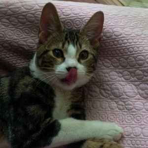 Make me an offer and I'll work with you!