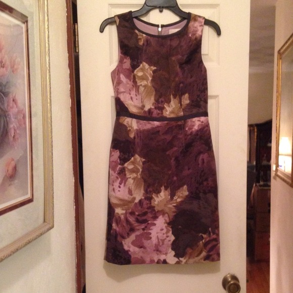 plumb anne taylor loft sheath dress sz 0