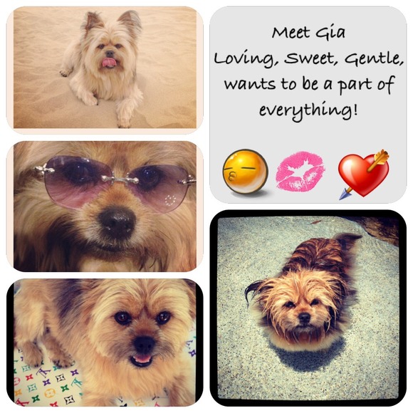 💋MEET YOUR SELLER🍊Atlanta🍊Great Prices & items! - Picture 2 of 3