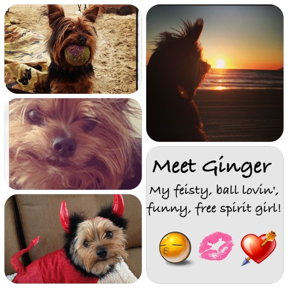 💋MEET YOUR SELLER🍊Atlanta🍊Great Prices & items! - Picture 3 of 3