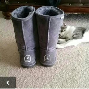 Grey BearPaw