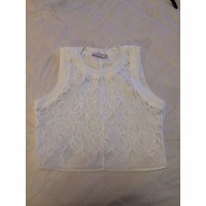 Zara W&B Collection Mesh and Lace Detail Crop Top