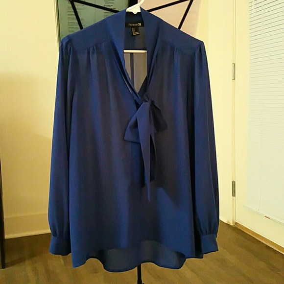 Blue Polyester Sheer Chiffon Blouse