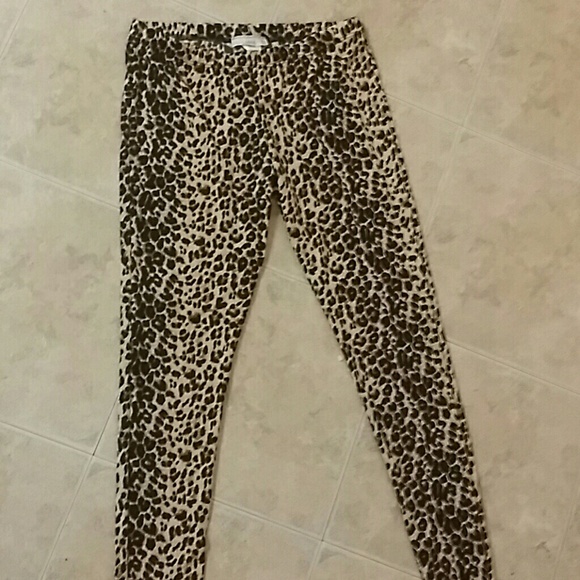 Leopard tights