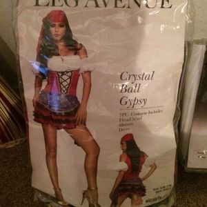 Gypsy Halloween costume, bag, wallet and gift