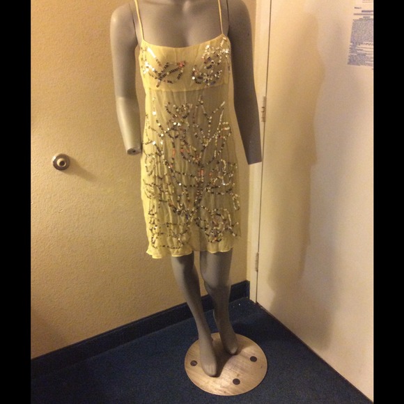 BCBG sheer dress