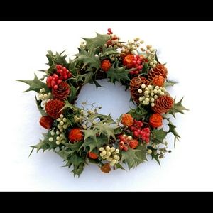 Burgandy Jegging Pants NWT