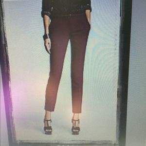 Purple Express Editor ankle pants