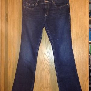 Denim Venice Boot Hollister jeans