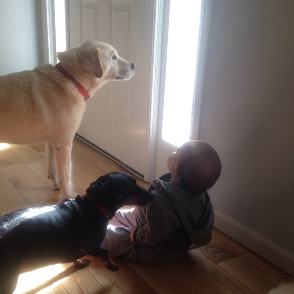 My son and our furry kids lol
