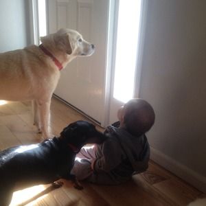 My son and our furry kids lol My son and our furry kids lol