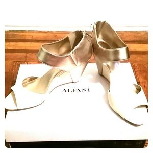Alfani Shoes