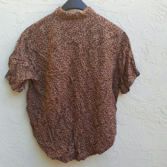 Cheetahlicious - Picture 2 of 4