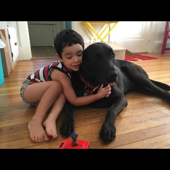 Meet Your Seller - Picture 5 of 8