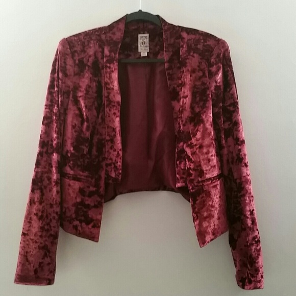 Gorgeous Blazer (Crushed Velvet feel)