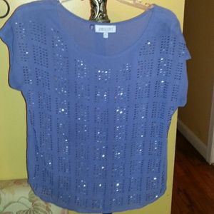 Periwinkle/plum embellished top