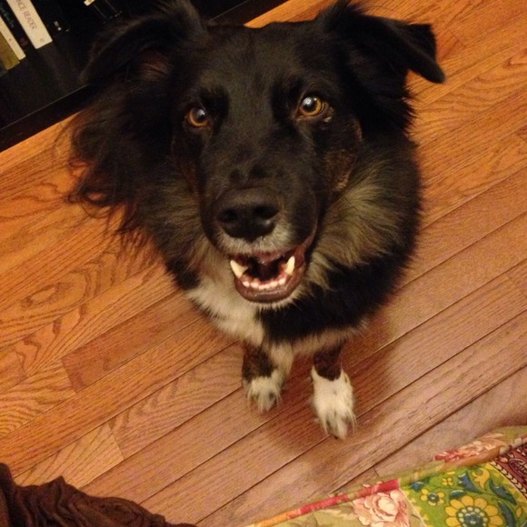 Trade with jeepgirl93