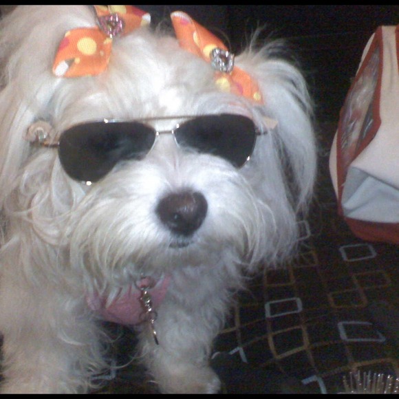 I'm co- Hosting my firt poshmark  party!🎉 - Picture 4 of 4