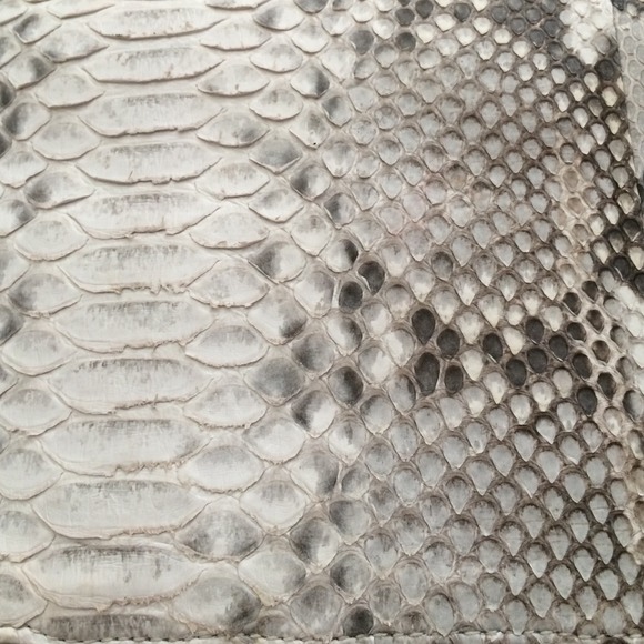 Authentic Python Clutch - Picture 4 of 4