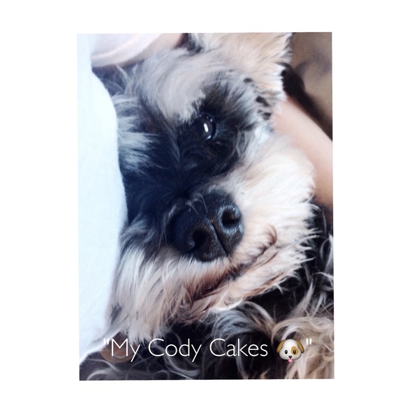 • MY CLOSET • - Picture 3 of 4