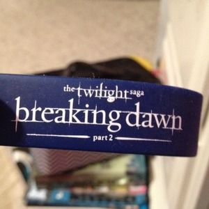 Twilight bracelet