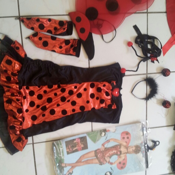 Lady bug costume. - Picture 1 of 1