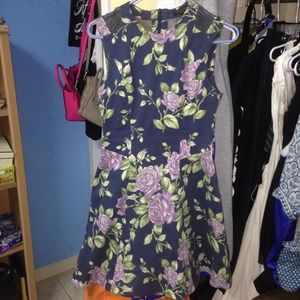 Rag and Bone Ruby sleeveless dress