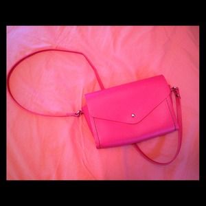 Pink Zara Clutch