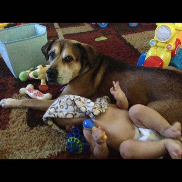 Help my pup fight cancer - Picture 3 of 4