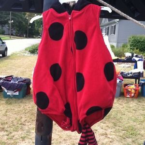 Ladybug costume
