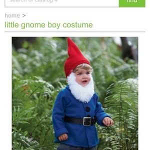 Gnome Halloween costume