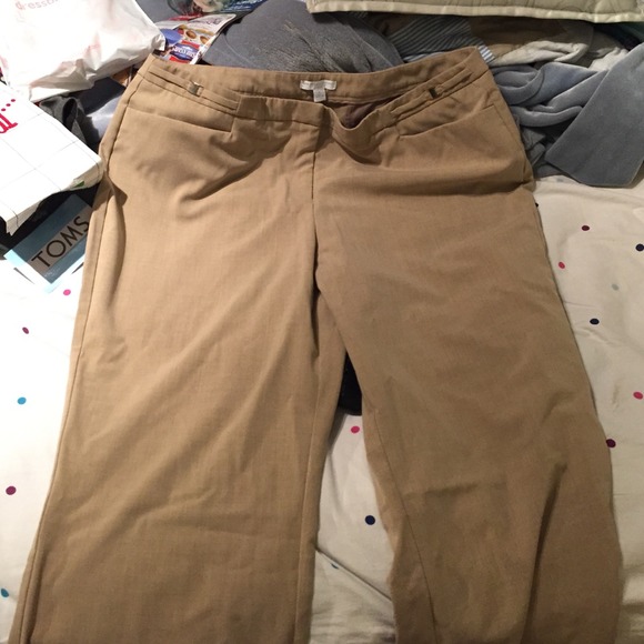 Dress pants