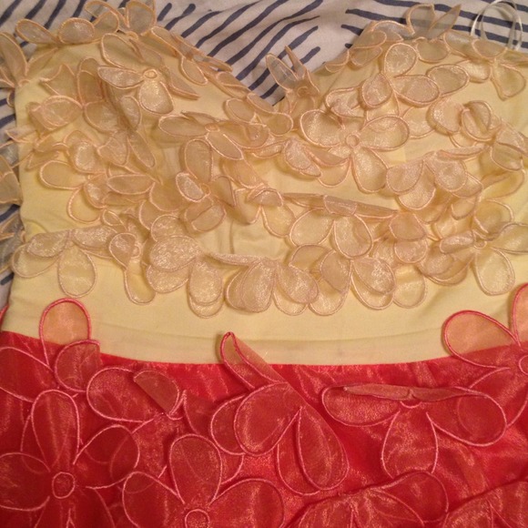 Party dress! - Picture 2 of 3