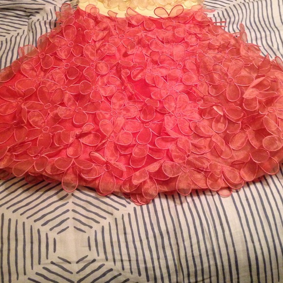 Party dress! - Picture 3 of 3