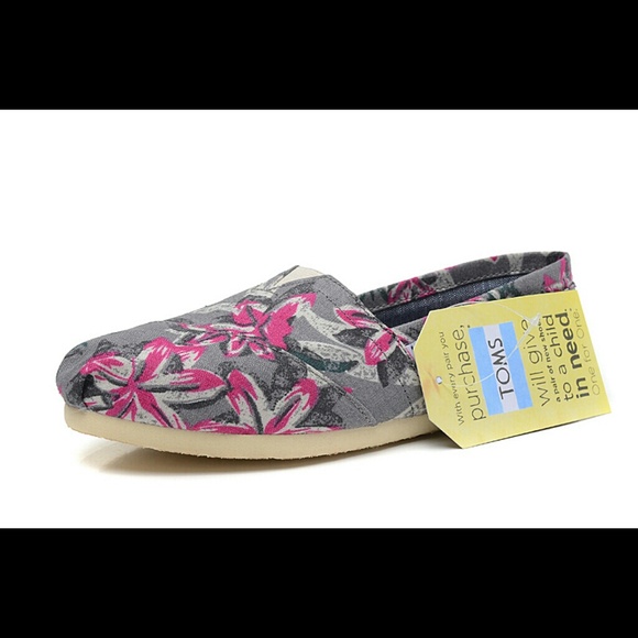 TOMS