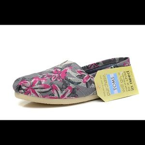 TOMS