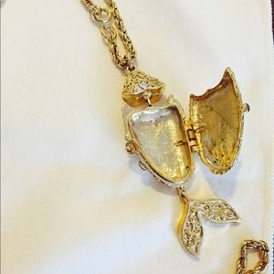 Gold necklace with a fish locket