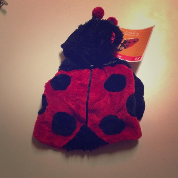 NWT dog ladybug costume🐞