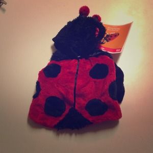 NWT dog ladybug costume🐞