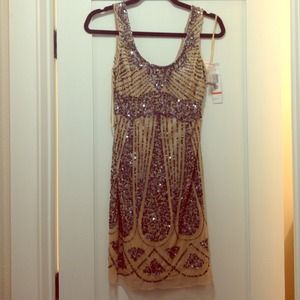 Gorgeous Sequin Dress