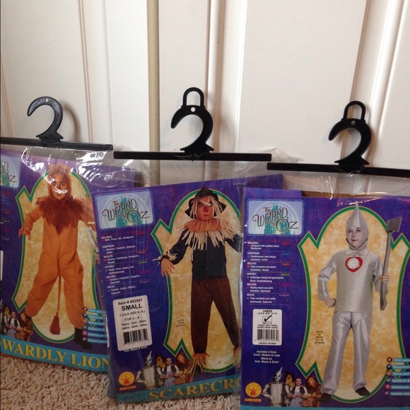 Scarecrow costume only