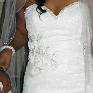 Wedding Dress ($600) and Veil ($100)