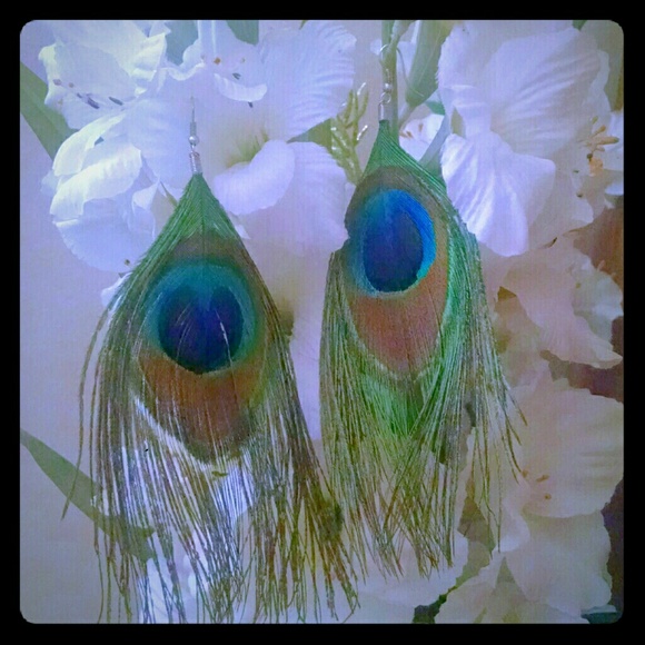 Peacock feathers earrings