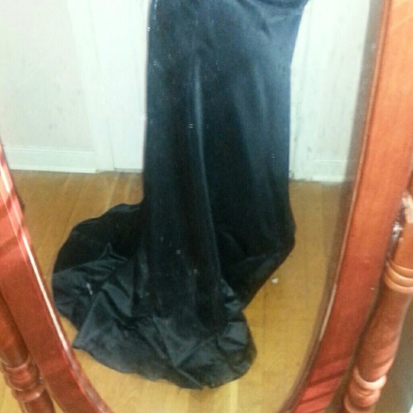 ππHPππ Designer Evening Gown - Picture 4 of 4